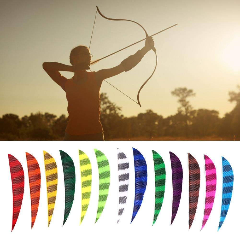 13 Plumes De Flèche 5 Pouces - Pour Tir à L'arc - Plume De Dinde - Multi-couleurs