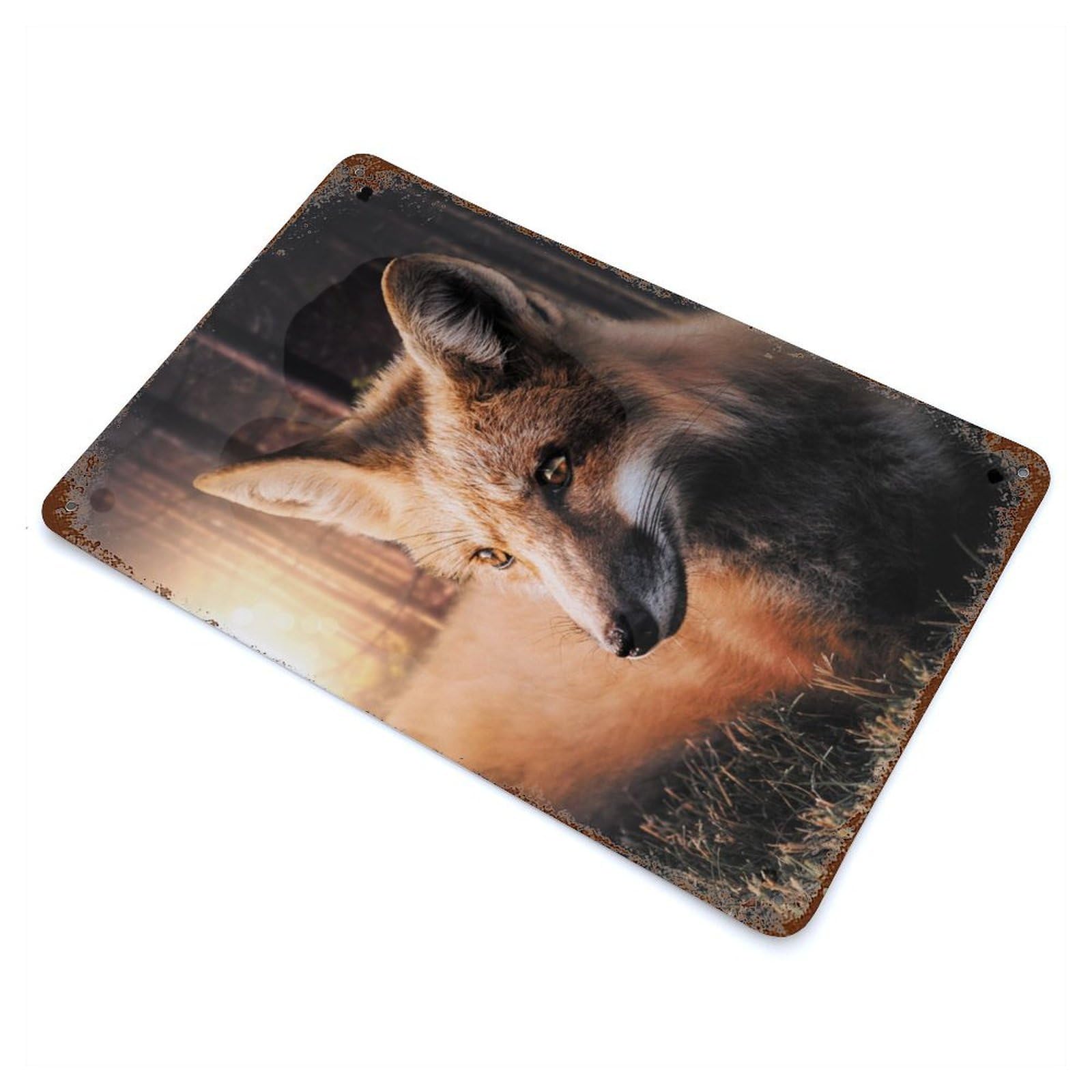 Sunset Fox Distressed Metal Wall Sign 11.8"x7.9", for Farmhouse, Kitchen And Entryway Decor, Rustic Home Decor