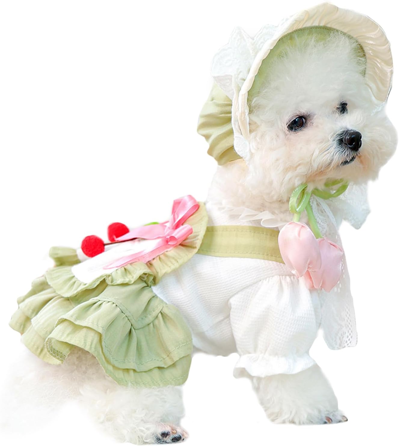 2 Pcs Pet Floral Dress and Lace Sunhat, Summer Skirt with Laces for Dog, Cute Bowknot Dresses for Cat, for Birthday Party and Outdoor Travel (Green, Small)