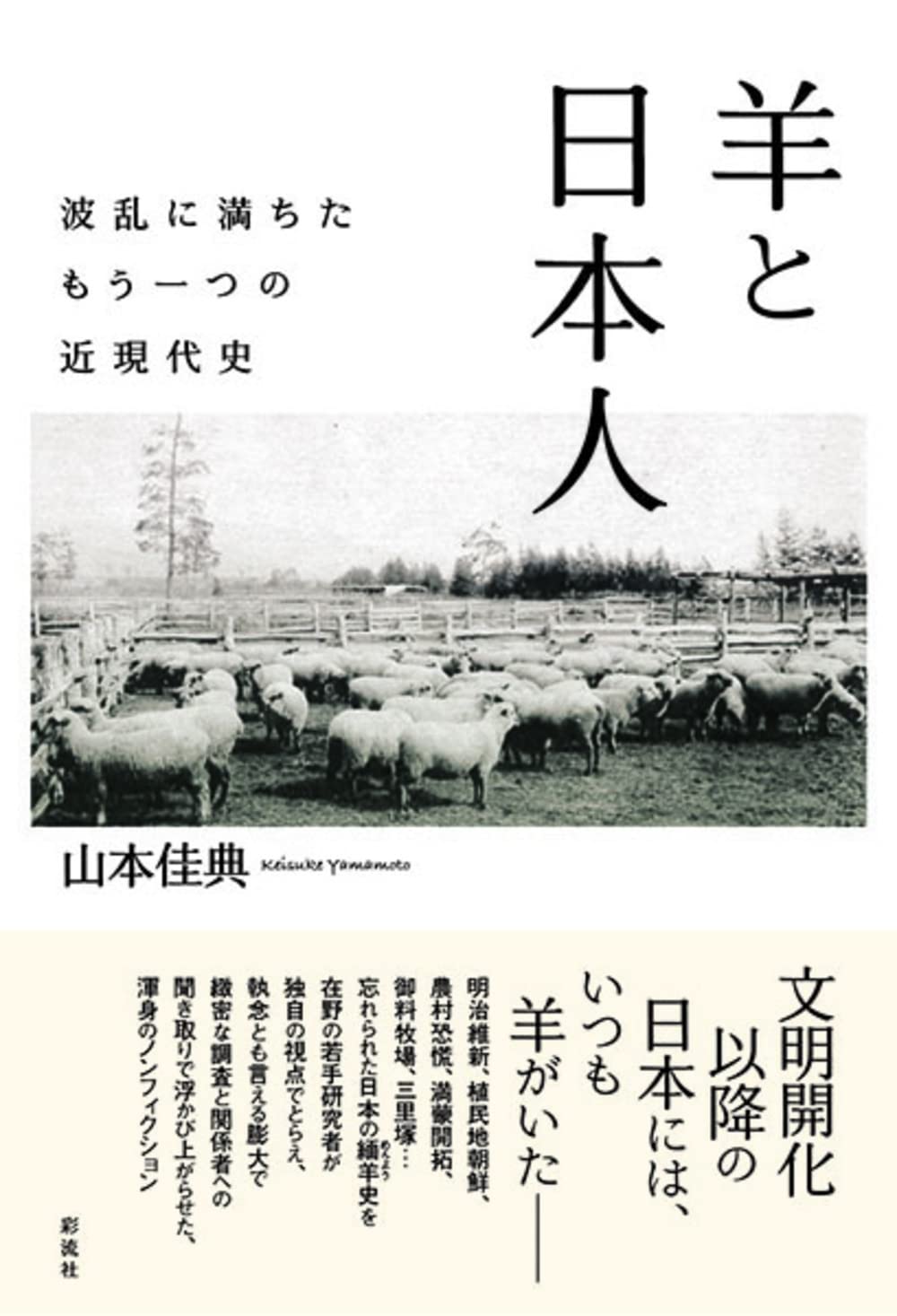 【希少！】【帯あり】ひつじ 羊の民族・文化・歴史／ 大垣 さなゑ(著) ひつじ: 羊の民俗・文化・歴史 | 大垣 さなゑ |本 | 通販 | Amazon