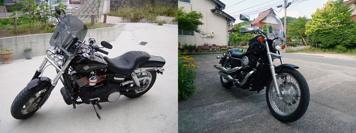 専用です ワールドウォーク(World walk) 汎用ウインドスクリーン WS