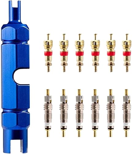 Kit de herramientas de extracción de núcleo de válvula de bicicleta para válvula Presta y Schrader, herramienta de ajuste de reparación de núcleo de