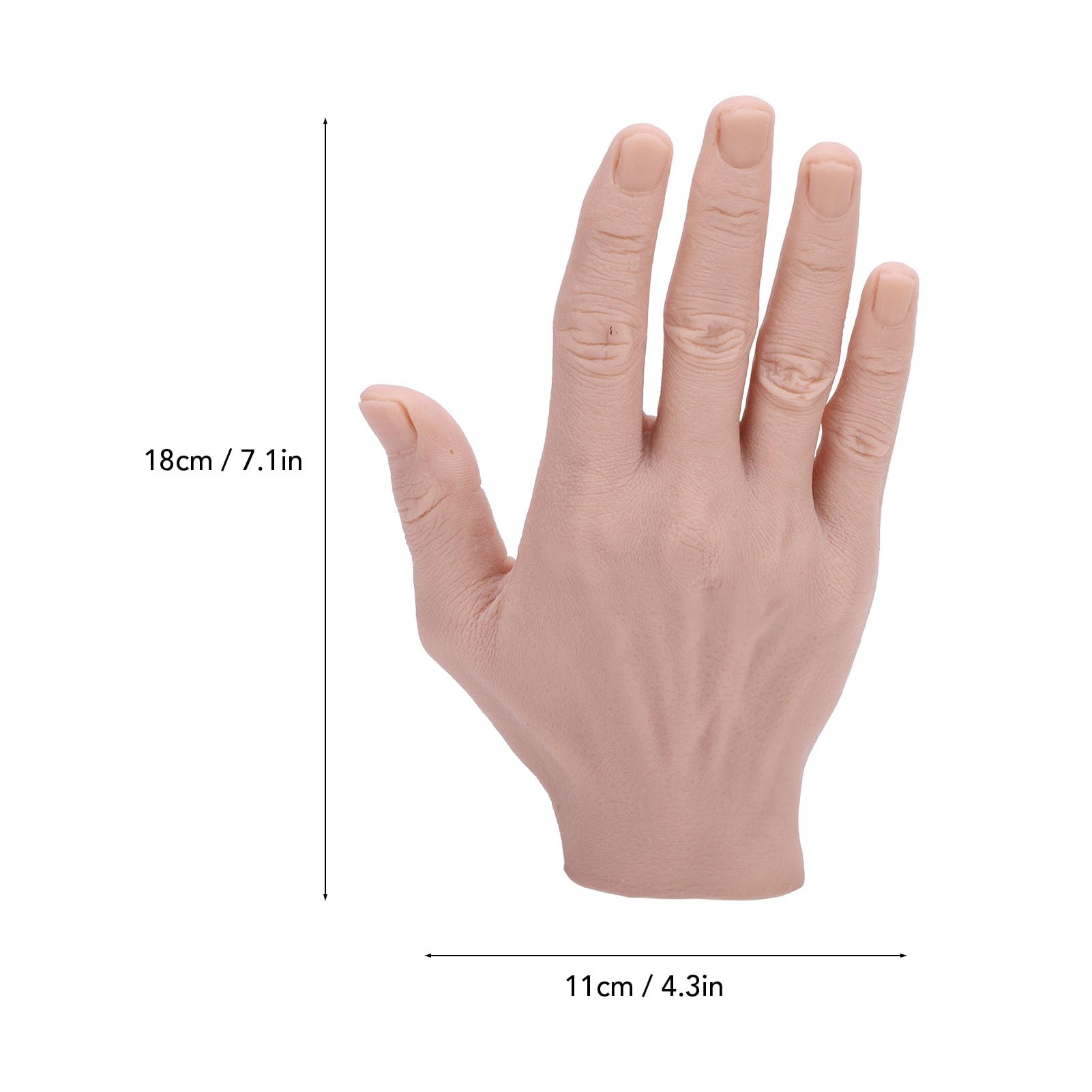 Amazon.co.jp: 男性シリコンハンドモデル、左手または右手リアルな柔軟