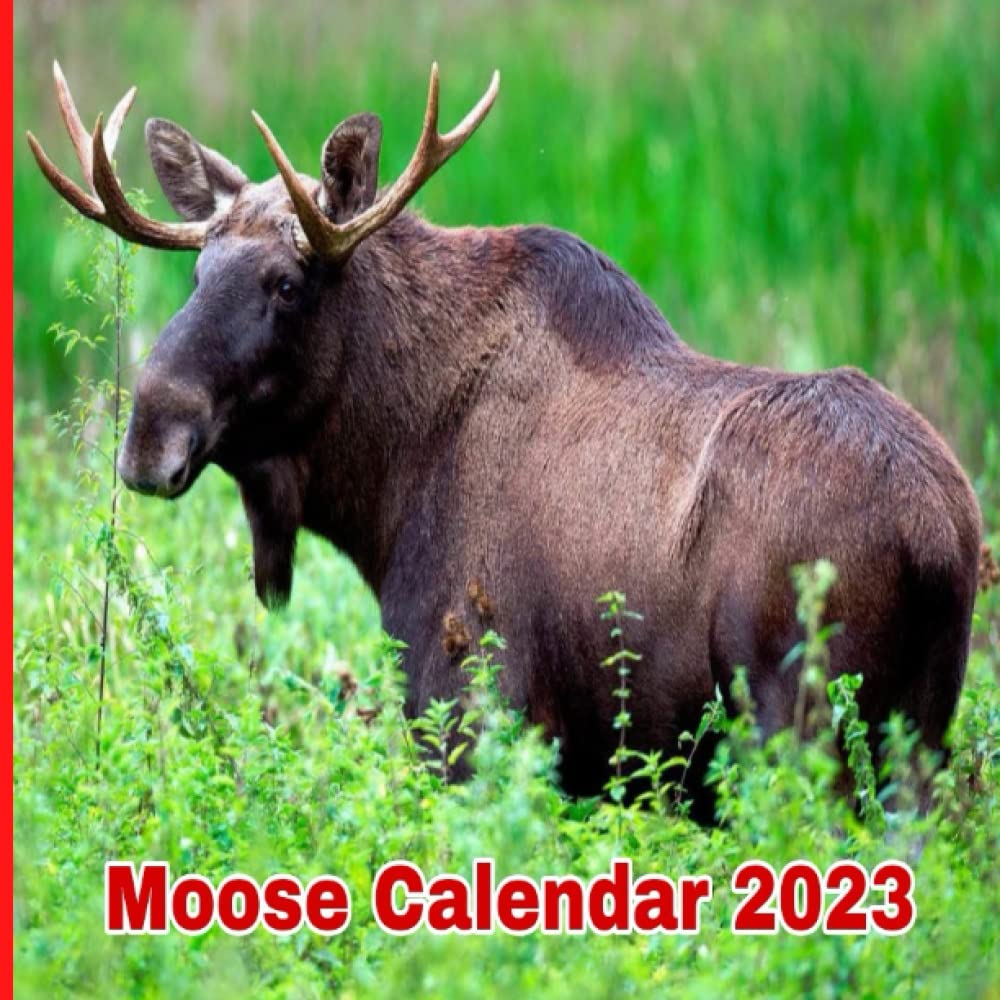 Buy Moose 2023 12month 2023 from Jan 2023 to Dec 2023 Online at