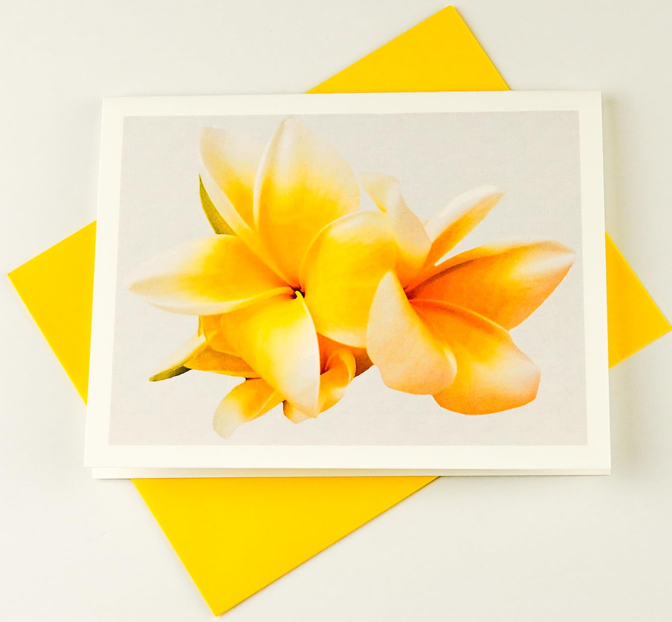 Sunshine Expressions Blooming Flowers – Yellow Frangipani – High End Photographic Heavy Smooth Note Cards 8 w/10 Colored Envelopes, Boxed Set (4.25"x