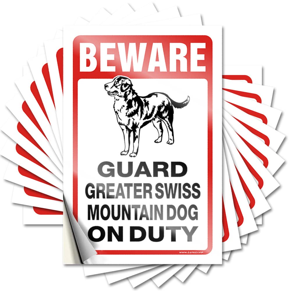 Assorted Tattoo Aesthetic Decals, Patio Decorations Cute Pattern Design for Bathroom Notebook | Nice Removable Vinyl Beware! Guard Emus On Duty(6X9CM)
