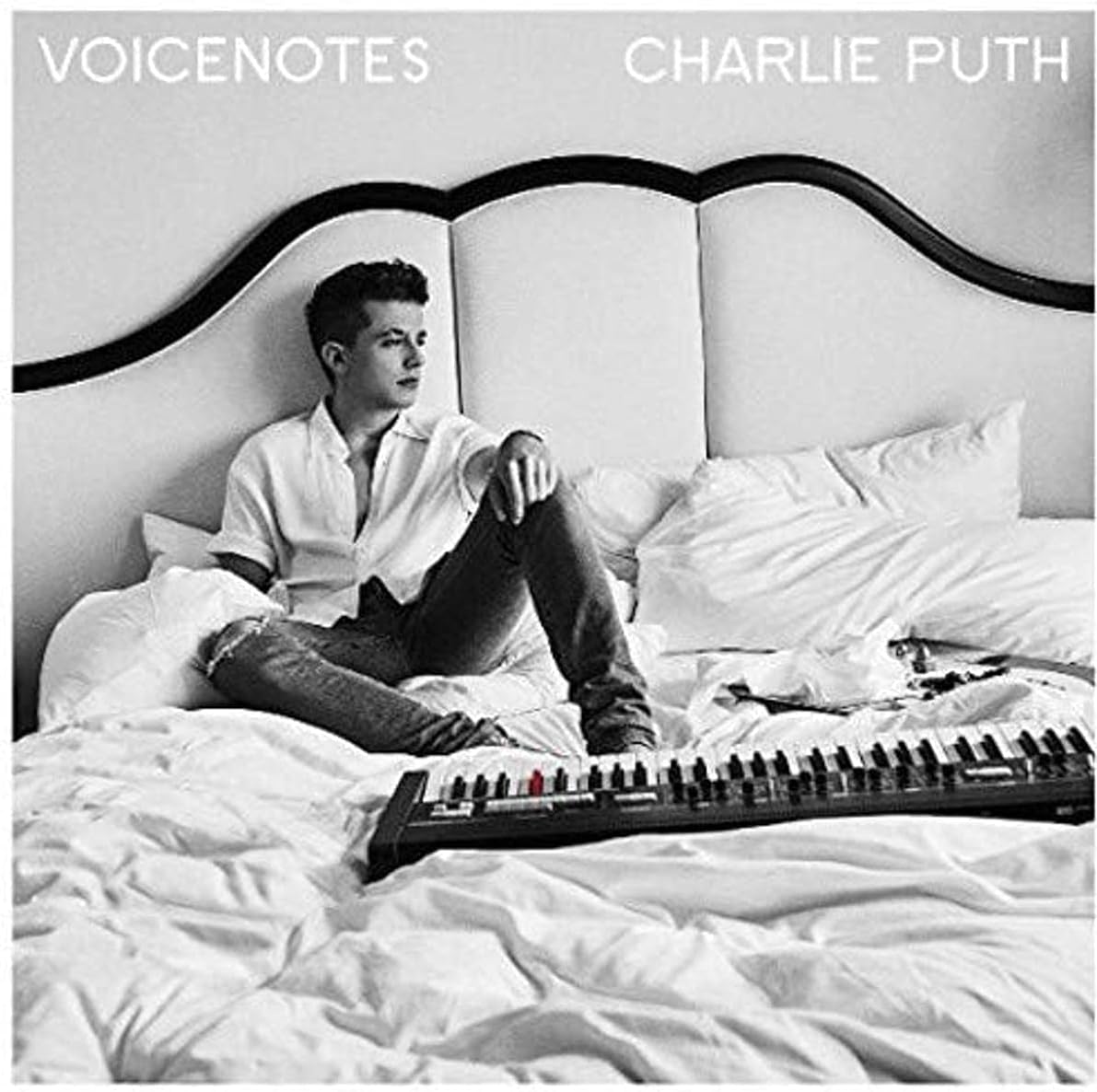 Voicenotes
