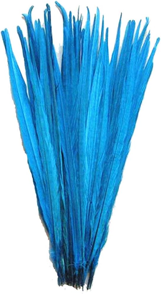 MELADY 50pcs/lot Dyed 12-14inch Pheasant Tails Feather DIY Decoration (Turquoise)