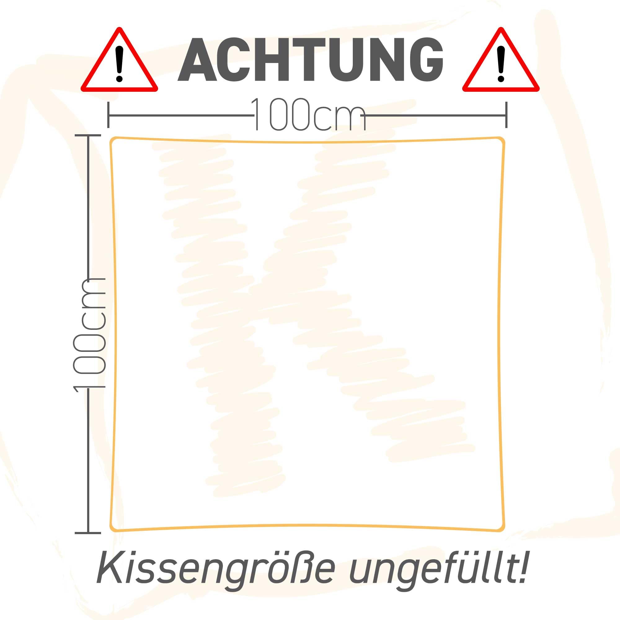 Federkissen 100x100 cm Gänse- & Entenfedern Made in Germany | Bauschige Naturfedern-Kissenfüllung | 100% Baumwolle-Bezug | kein Lebendrupf | waschbar | OEKO-TEX
