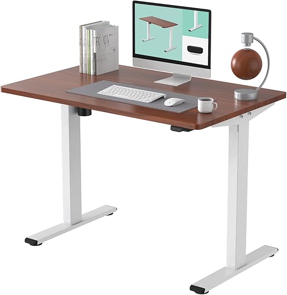Flexispot EC1 Electric Standing Desk Height Adjustable Desk, Sit Stand