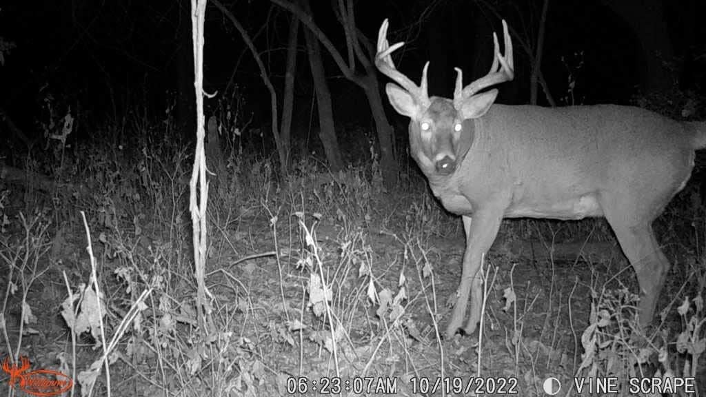 Wildgame Innovations Kicker 16MP LIGHTSOUT