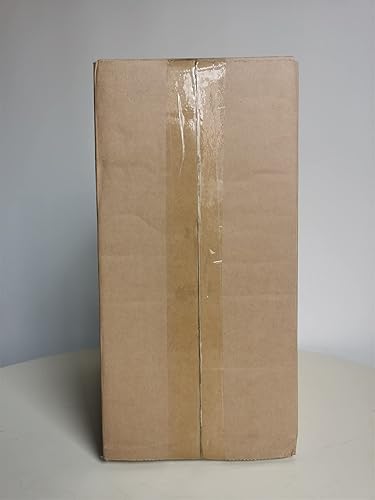 Miniatura 8 de NCYP Cerrar Terrario geométrico de vidrio con puerta - Maceta de vidrio irregular negra de 9.8 pulgadas de alto - Maceta moderna hecha a mano para