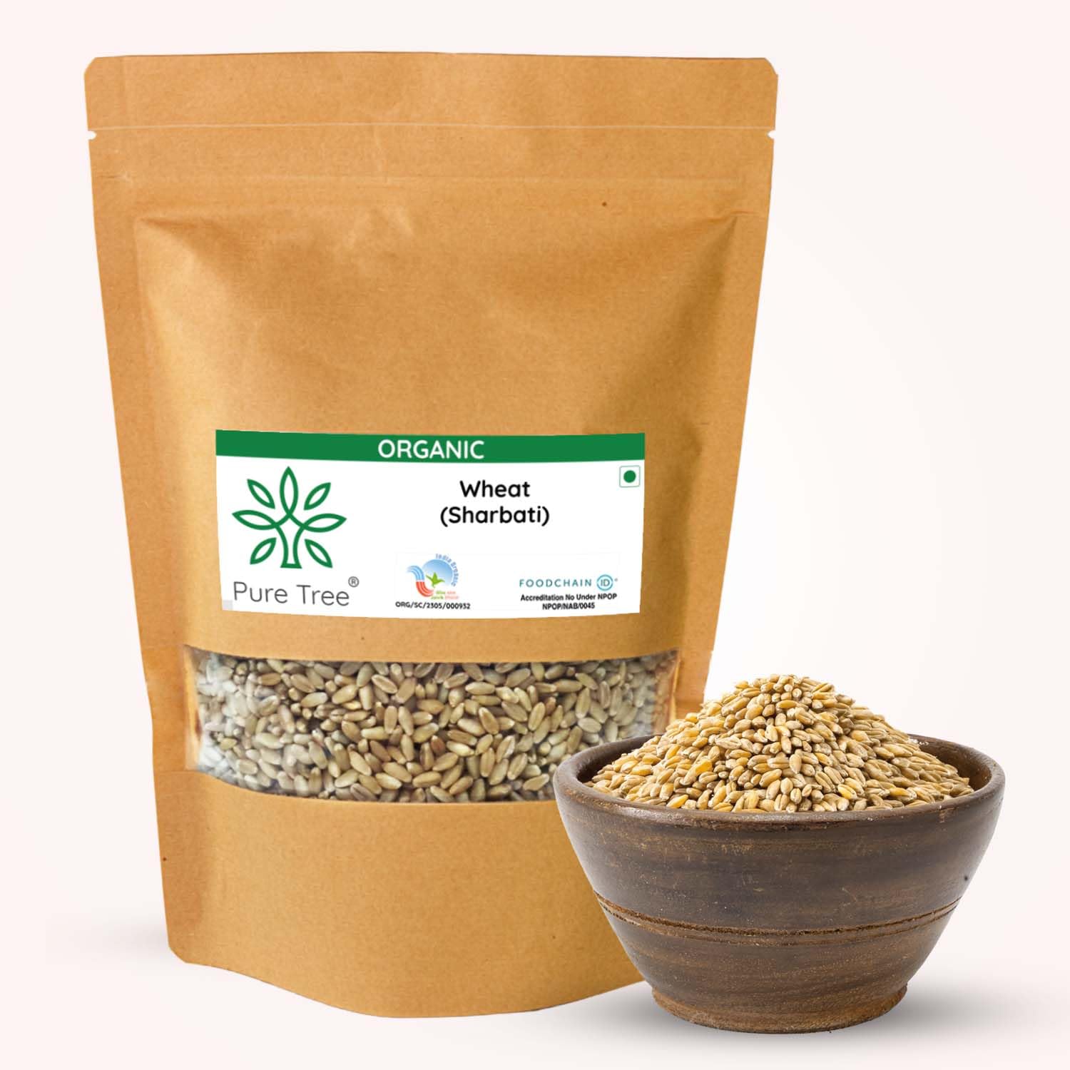 Pure Tree Certified Organic Wheat MP Sehori | 1.8 Kg / 1800 g | Sharbati Gehu Whole Wheat Grains | Golden Grain