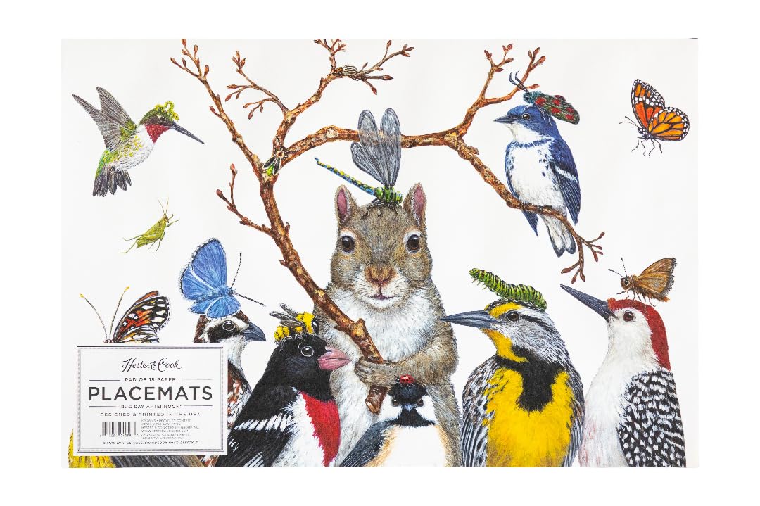 Paper Placemats for Dining Table - Disposable Square Paper Placemats for Spring Summer Parties - Vicki Sawyer Designed - Birds Squirrel Insects 18 Sheets - American Made