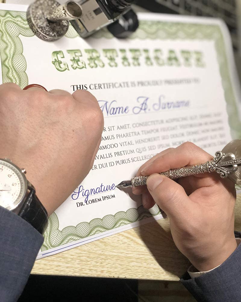 Amazon.co.jp: SCHOWE アンティークフェザー羽ペンとインクセット