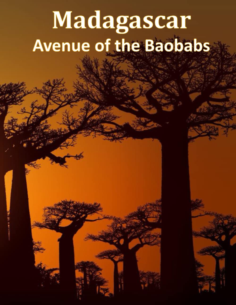Madagascar Avenue of the Baobabs: A Home of a Unique Flora & Fauna, lemurs, Colorful Chameleons, Stunning Orchids, and Towering Baobab Trees. Coffee ... Take Your Breath Away, Tourism Guide Book)