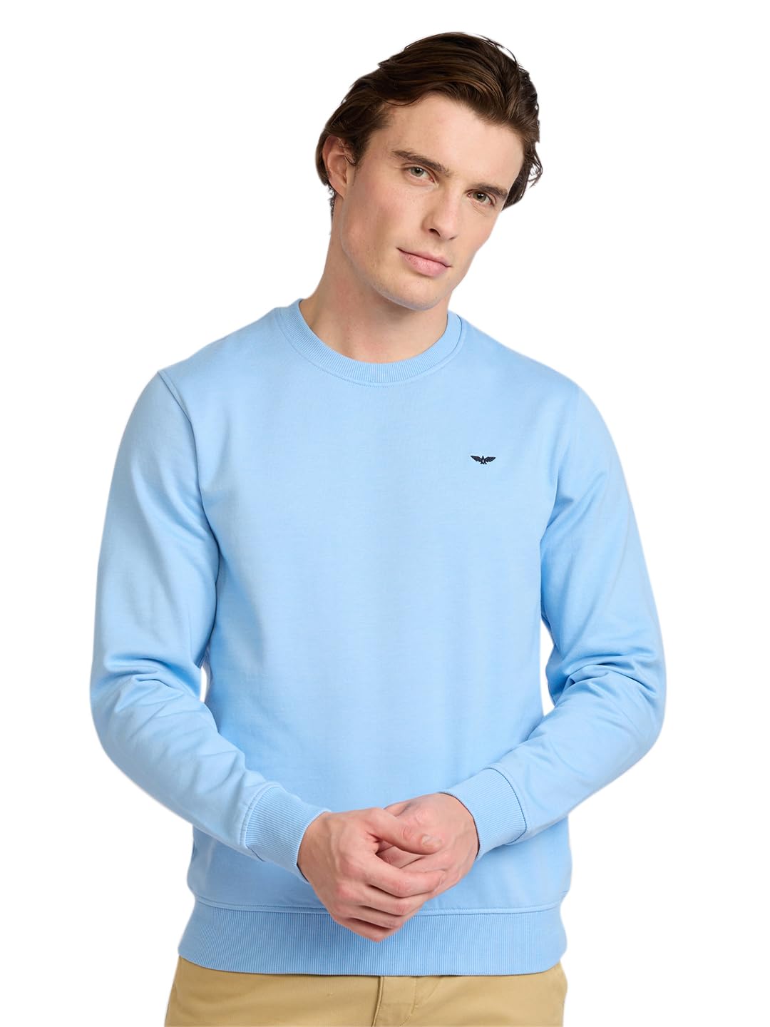 park avenue Men Full Sleeve Slim Fit Solid Pattern Cotton Polyester Blend Regular Neck Regular Neck Casual Sweatshirt-picture-14
