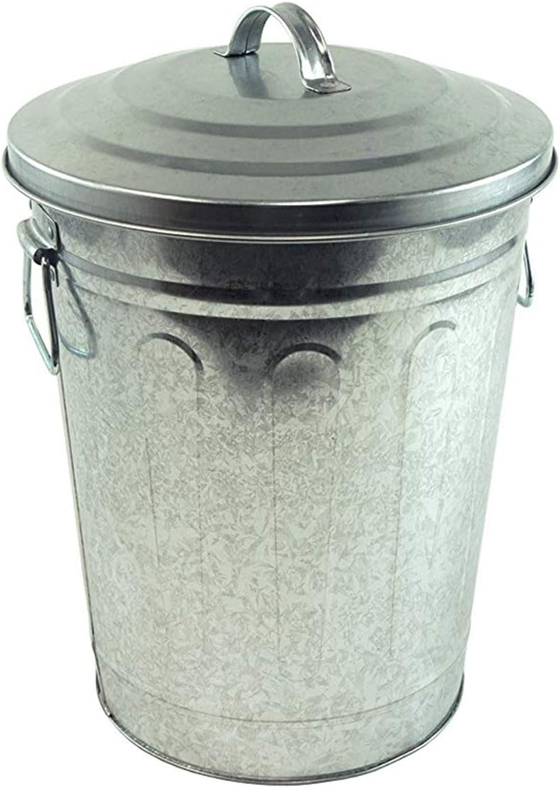 Steven Raichlen Best of BBQ Galvanised Charcoal/Ash Can with Lid