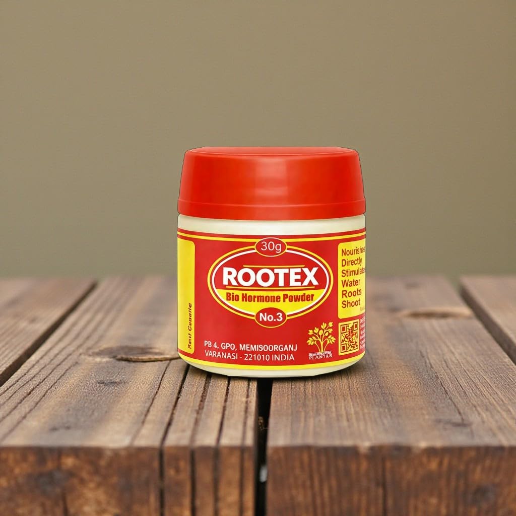 Bhajanlal Greenery Rootex | Fast Root Dry Powder Rooting Hormone for All Plants Grow Nutritions | Pack of 1 | 30 gram (No.3)-image-32