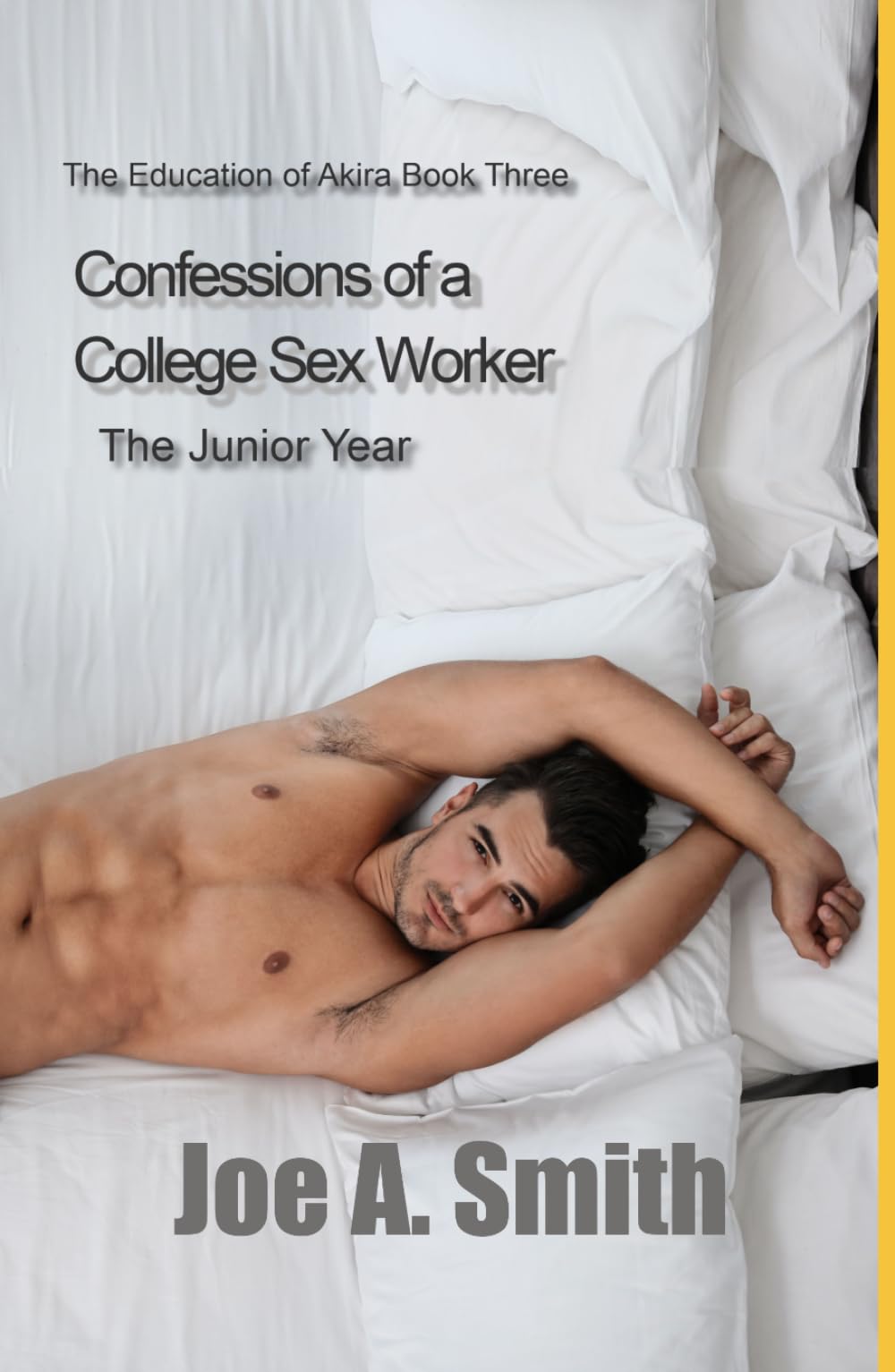 Confessions of a College Sex Worker—the Junior Year: The Education of Akira Book 3