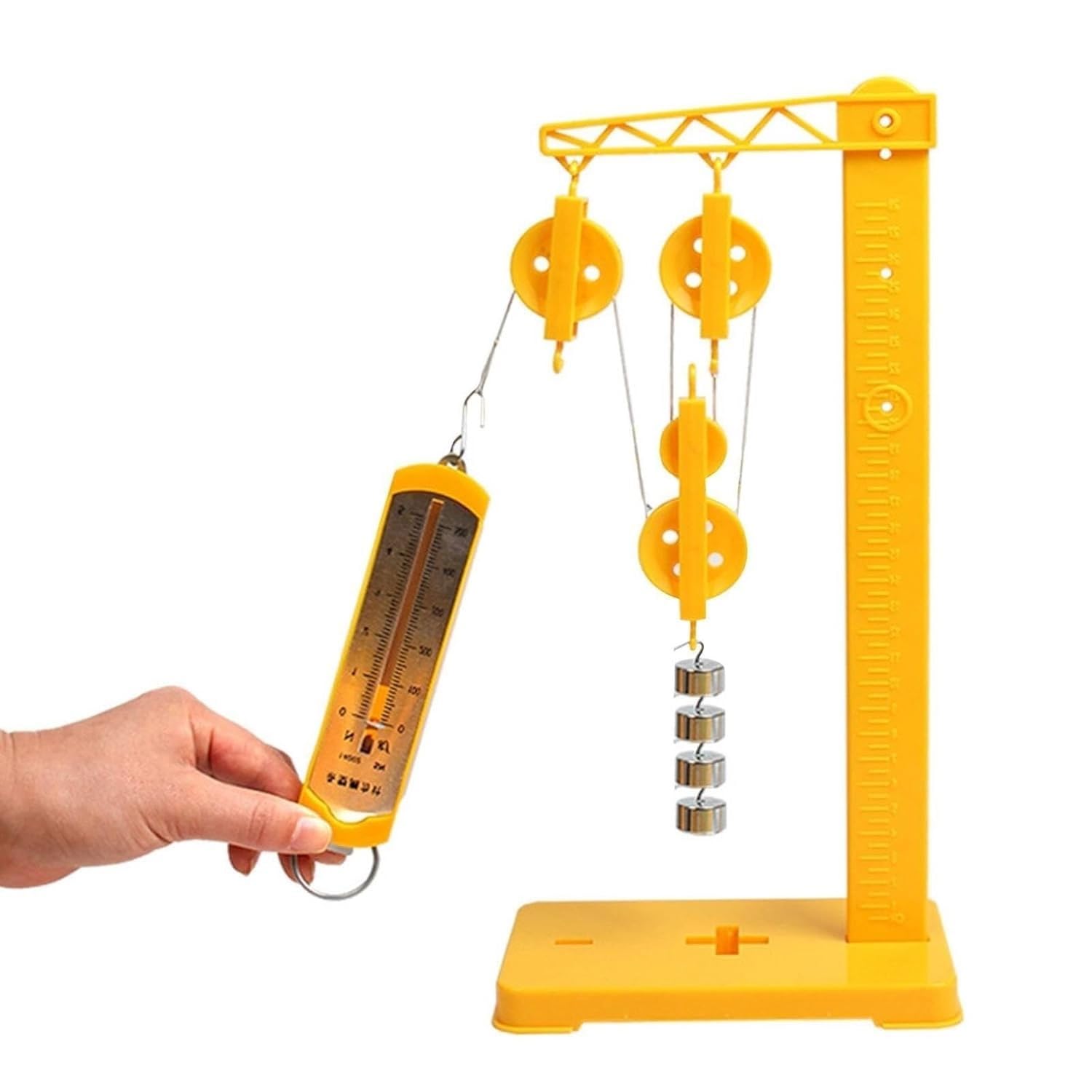 Demonstrator for festes und bewegliches kombiniertes Riemenscheibensystem mit Federdynamometer | PP-Metallrahmen, mechanischer Vorteil, arbeitssparendes Verhältnis, Statik