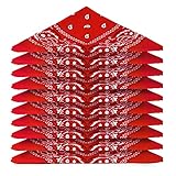 pañuelos rojos argentina CALIDAD SUPERIOR: Una bandana roja con un acabado impecable que completará tu atuendo a tu manera... Llévala alrededor del cuello o átala a tu cabello. Hemos seleccionado un algodón más grueso para un acabado más opaco.