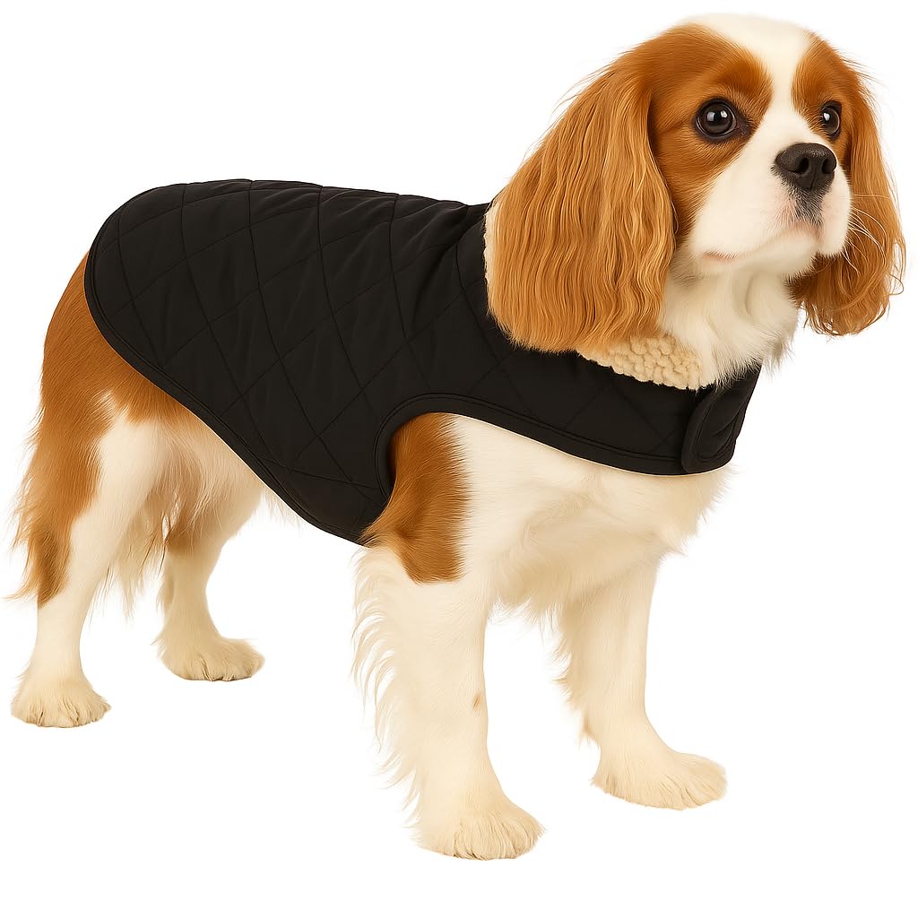 cappotto cane - Flamingo Bonnie Nero - A:40cm B:34–40cm C:54–60cm - poliestere - idrorepellente - interno in peluche morbido - Chiusura a strappo