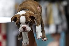 Review Image by Charles Charles