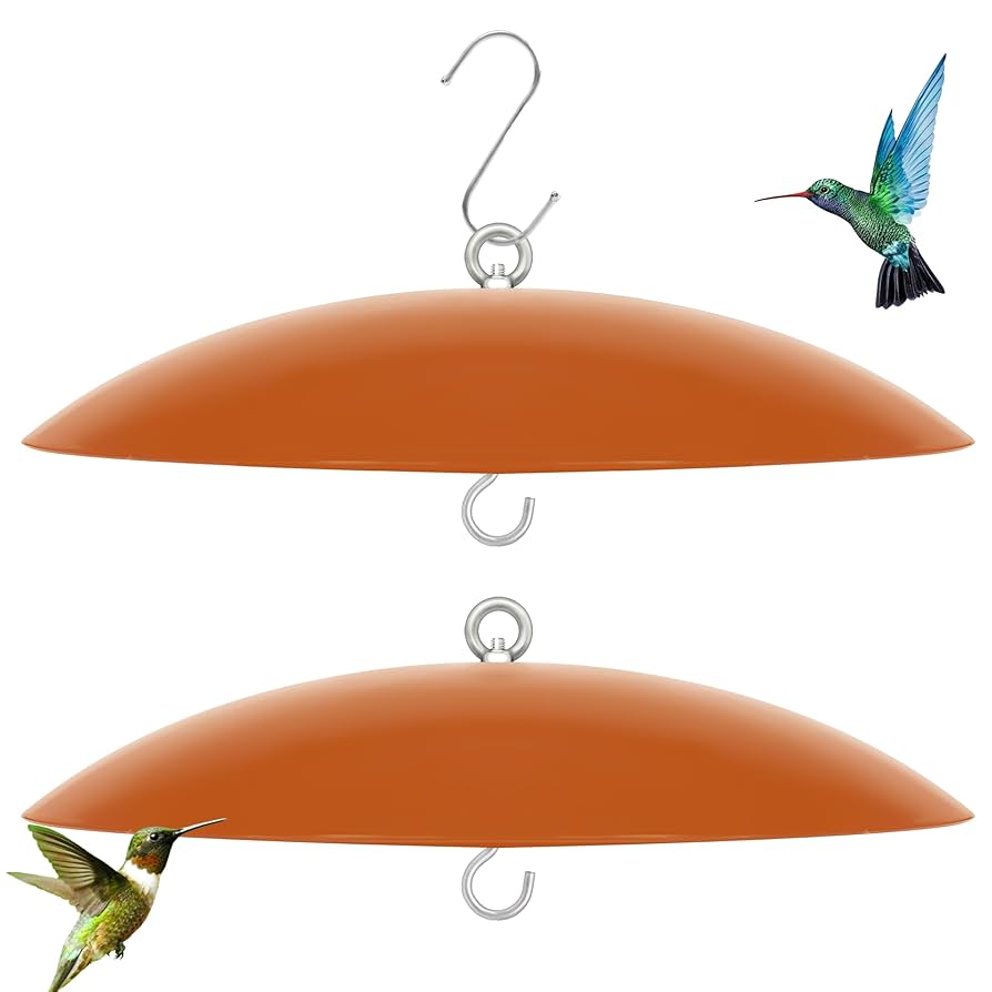 How to Keep Raccoons Away from Hummingbird Feeders: Effective Tips