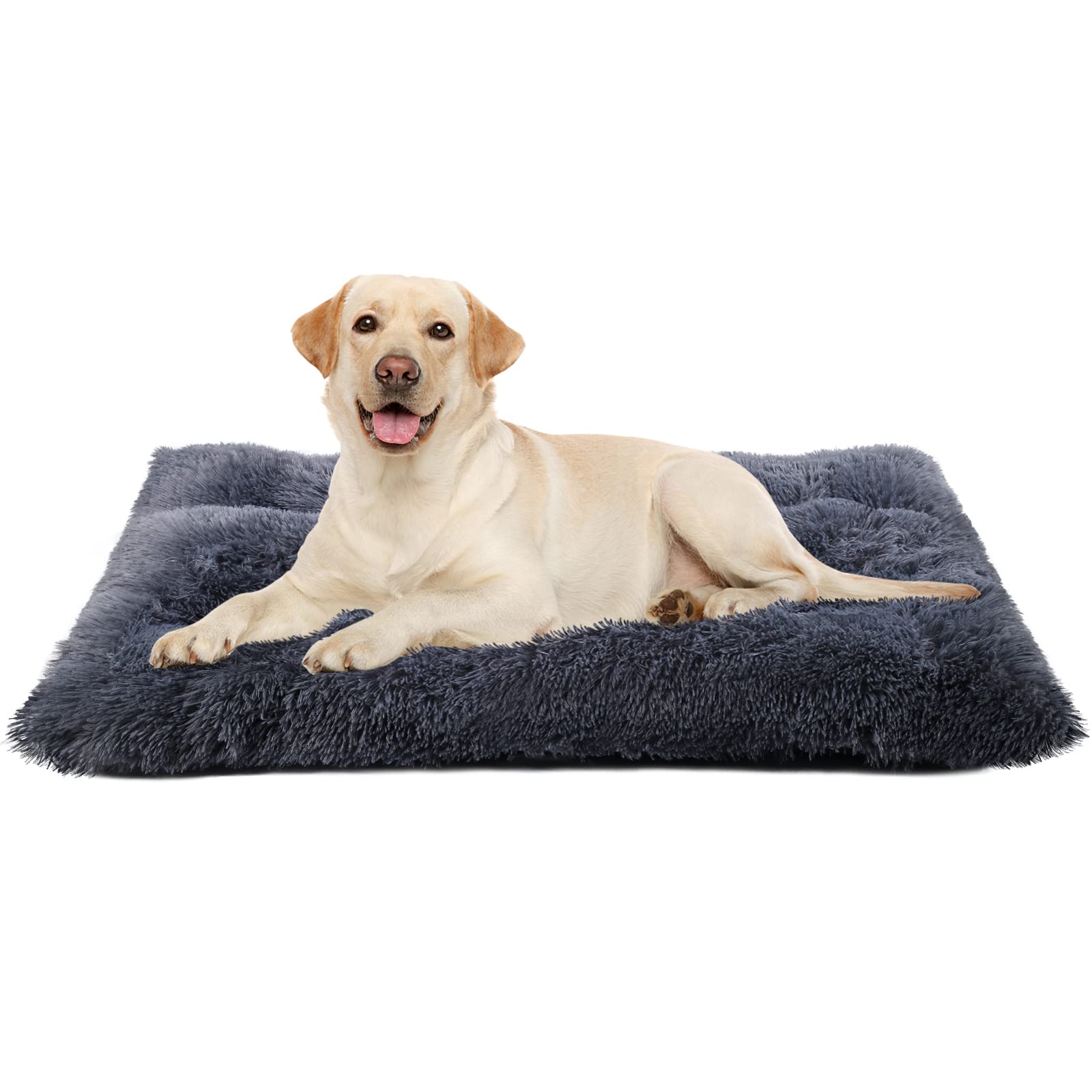 What Size Dog Bed Does A Labrador Need