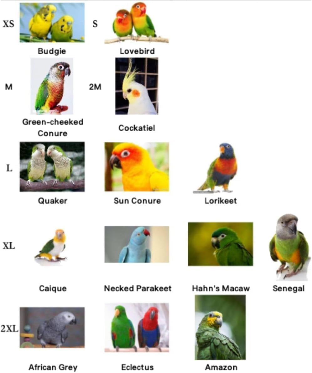 Bird Costume Bird Diaper Flight Suit Cute Black Hoodie Parrot Clothes Cosplay Photo Prop for Parakeet Cockatiel Conure Lovebird Budgie, Small Animals Apparel (with Diaper,Sulphur-Crested Cockatoo)