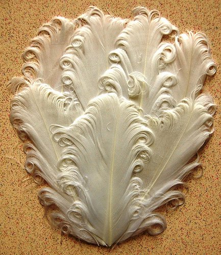 3 Nagorie Pads Curled Goose Feathers for Hats Millinery Craft Halloween Costume Headbands DIY (Solid White)