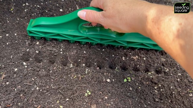 The Row Seeder por Seeding Square herramienta de jardinería manual miniatura 7
