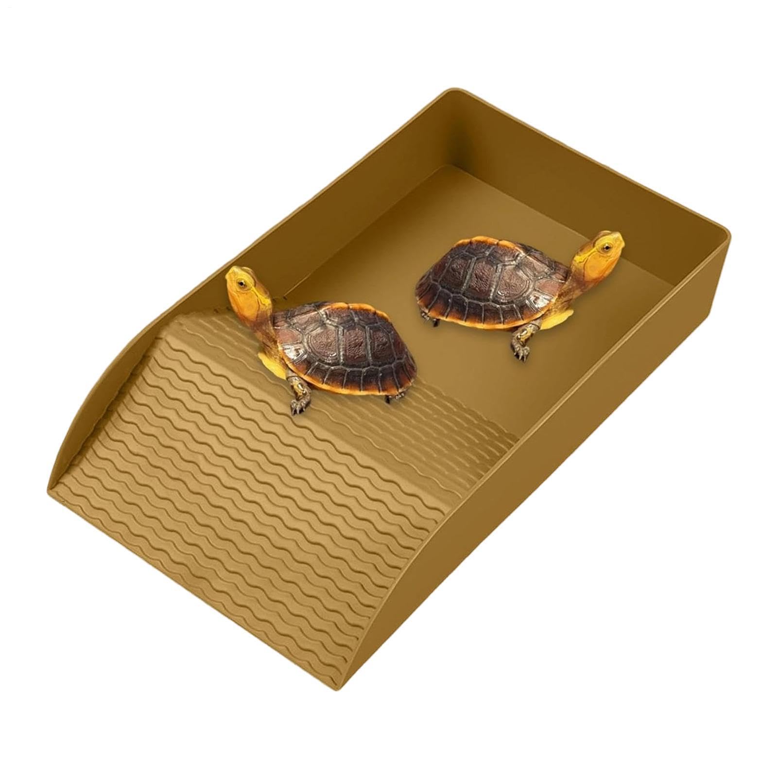 Reptile Water Dish Reptile Bathing Dish with Ramp