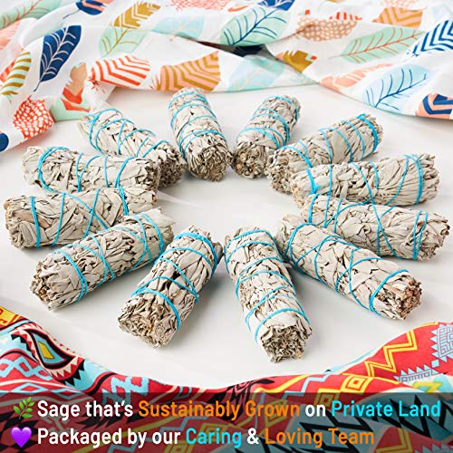 White Sage Smudge Sticks 4" Inch ~ 12 Smudging Wands | Smudge Kit White Sage Incense Sticks for Home Cleansing