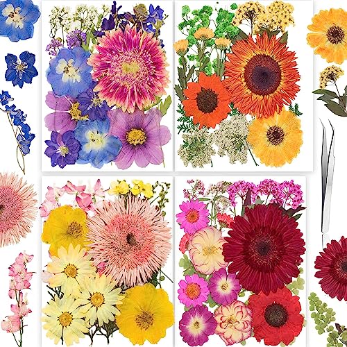 Image of 122PCS Large Nature Dried Pressed Flowers for Resin Mold, Real Dry Pressing Floral with Butterfly Transparent Stickers Set for DIY Jewelry Making Nail Card Scrapbook Art Craft Love Parade