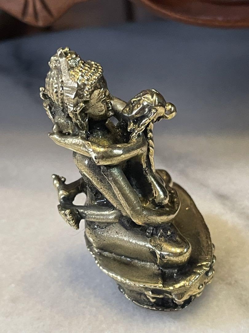 チベット密教 秘仏 シャクティ 歓喜仏　ヤブユム像　仏像 仏陀　釈迦　一点物 61HZ7wOapUL._UF894,1000_QL80_.jpg