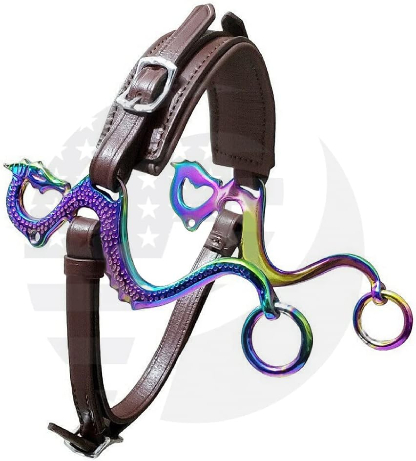 Dragon Rainbow Multi Hackamore Bitless Horse Bit English Western Brown Leather