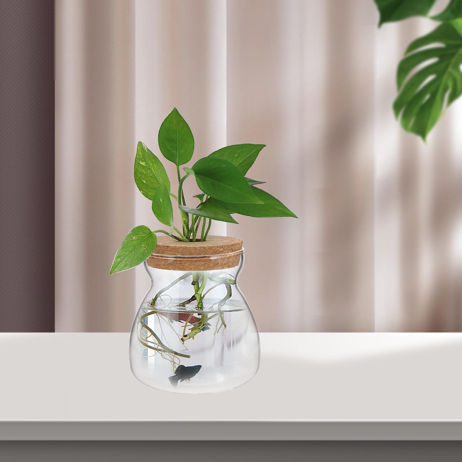 BESPORTBLE Terrario de Vidrio Recipiente de Madera y Vidrio para Plantas Hidropónicas Micro Paisaje Adecuado para Decorar Oficina o Dormitorio