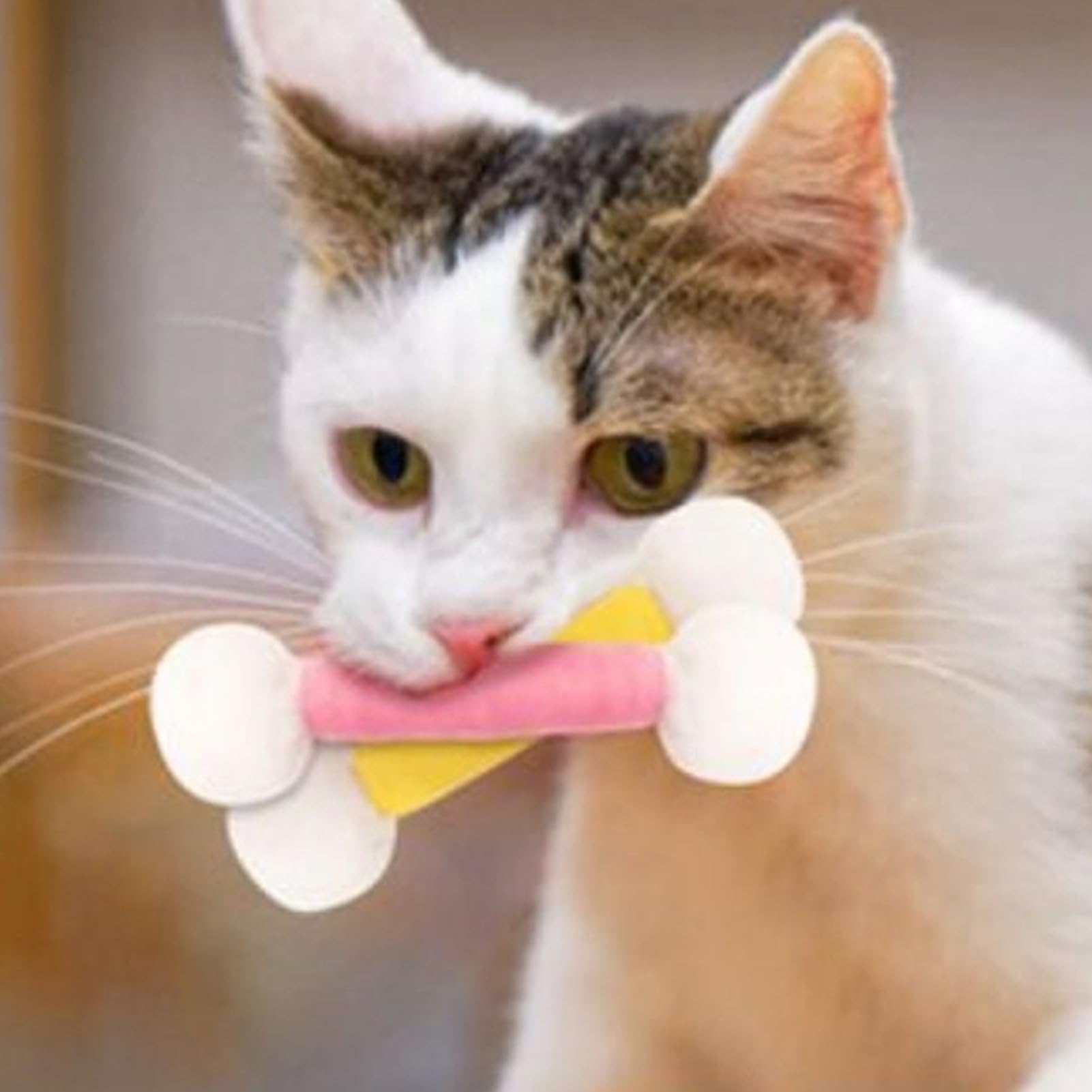 Anneaux de Dentition pour Chaton - Cotons-tiges Jouet pour Chat avec Cataire - Anneau de Dentition d' à Chat Résistant aux Morsures pour Mâcher et Développer Les Dents en Extérieur et en