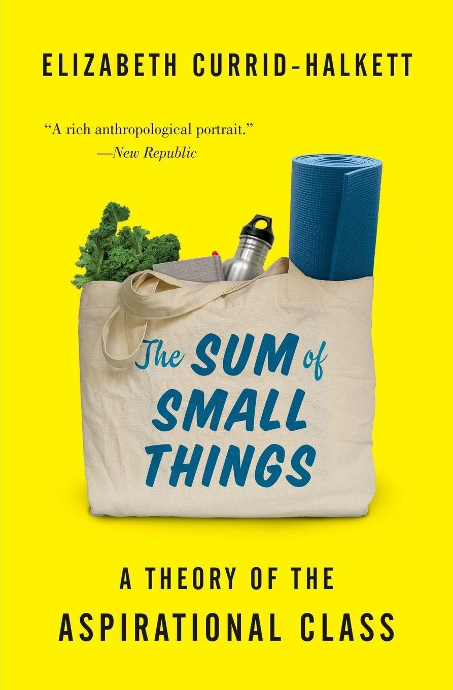 The Sum of Small Things by Elizabeth Currid-Halkett PAPERBACK 9780691183176