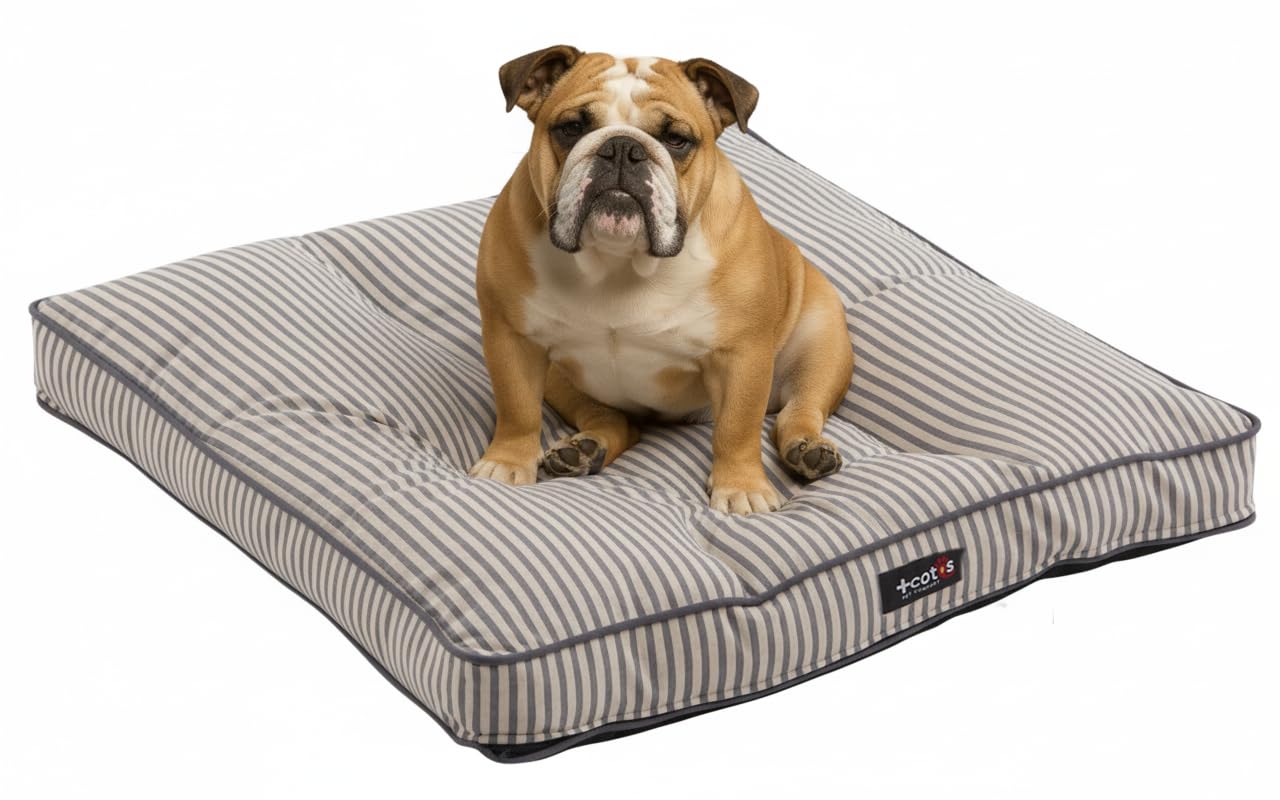 Cama Perro Mediano – Colchoneta Jacquard Elegante Tacto Nube - Suave Cálida y Sofisticada - Desenfundable y Antideslizante - Hecho en España - Talla M - Bisou Raya Gris - 60x60x6 +cotes