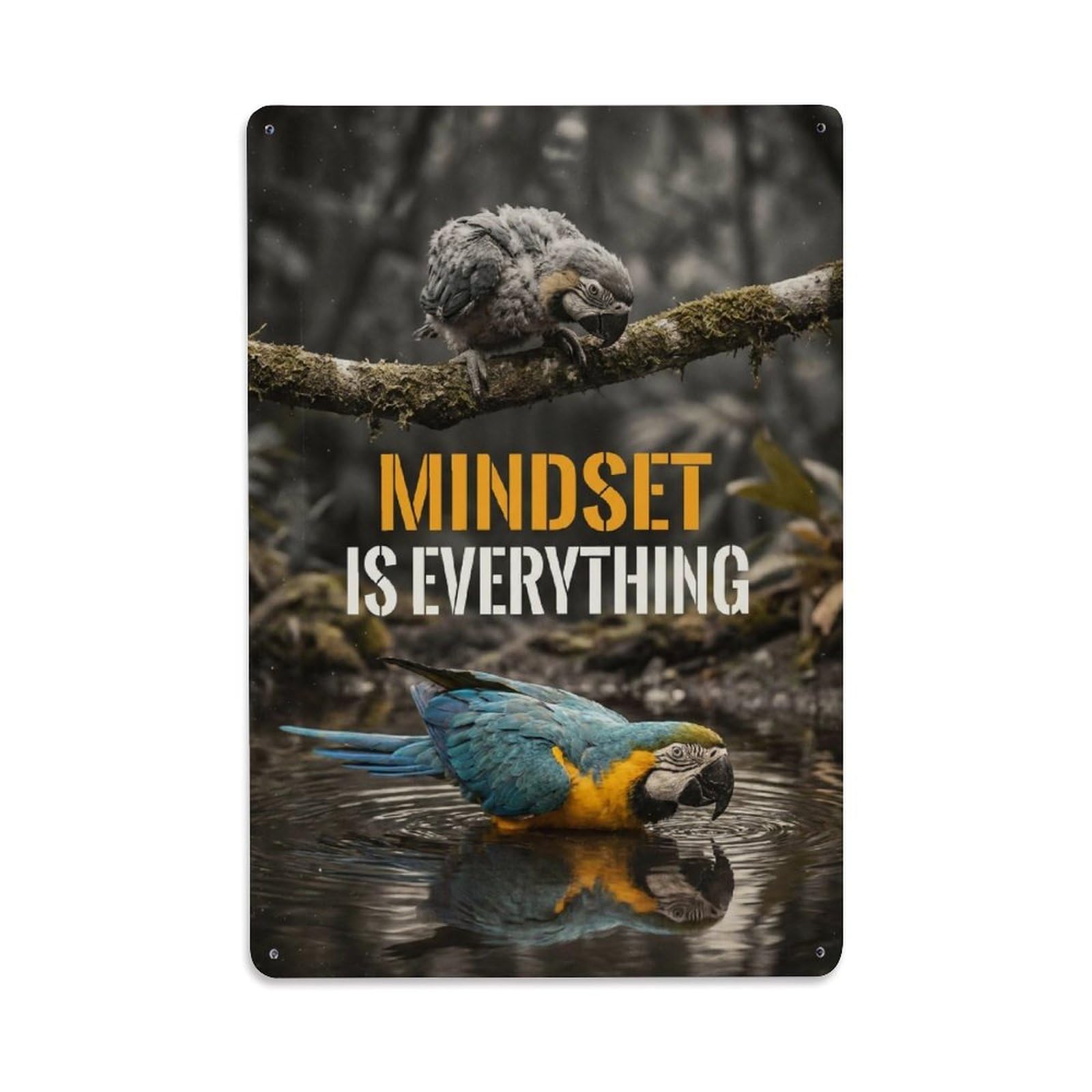 Mindset Is Everything Macaw Animal Motivation Quote Metal Tin Sign