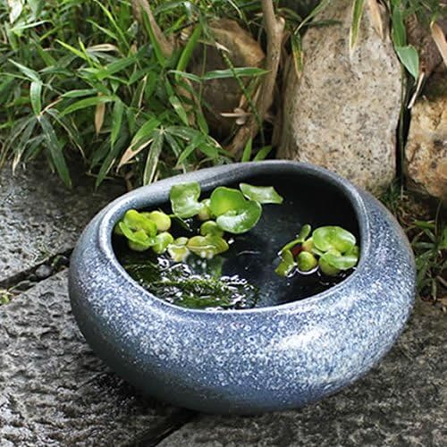 信楽焼 13号すいれん鉢 睡蓮鉢 スイレン鉢 金魚鉢 水鉢 陶器 su 信楽焼 13号すいれん鉢 睡蓮鉢 スイレン鉢 金魚鉢 水鉢 陶器 su