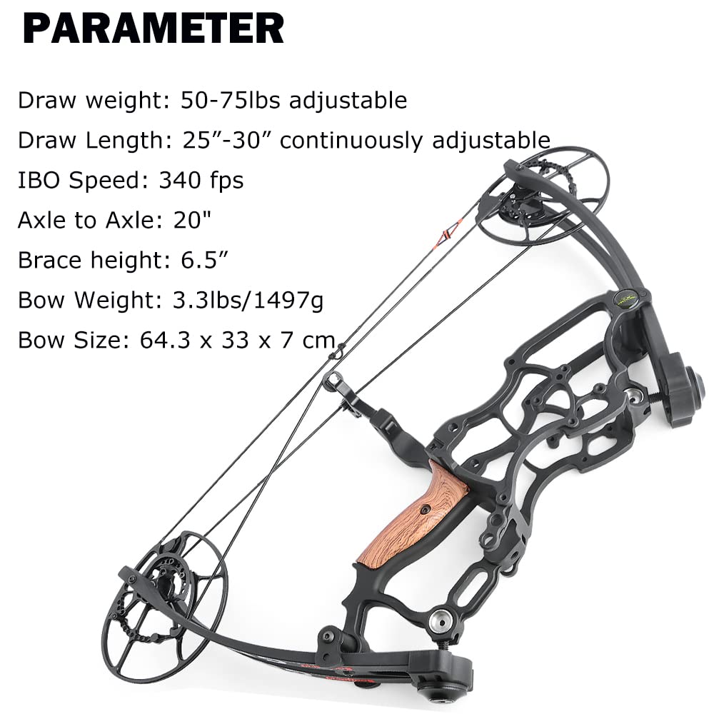 PSE Bow,CITATION34,SE,R,BK,29-60