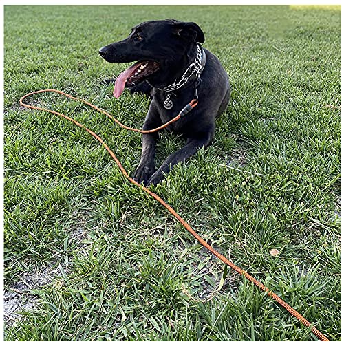 Btinesful Tie-Out Check Cord Long Rope Dog Leash, 8Ft 12Ft 20Ft 30Ft 50Ft Recall Training Lead Leash- Great For Large Medium Small Dogs Training, Playing, Camping, Or Backyard (20Ft, Orange Black) #TOP6