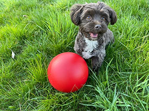 norrun Treibball für Hunde Pferde und Ferkel ungefähr ø 19 cm aus Hartplastik Hundeball Antistreßball (rot)