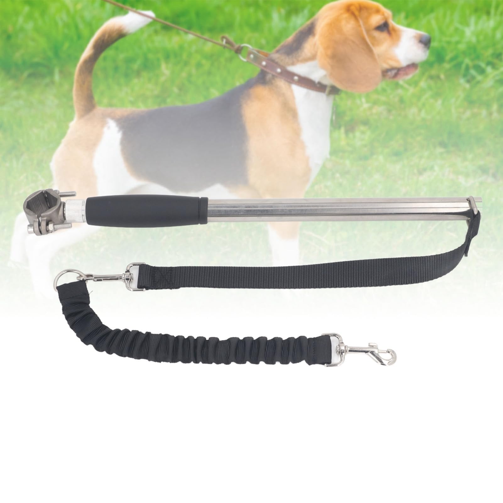 Laisse rétractable pour chien en acier inoxydable haute résistance, idéal pour l'entraînement, le jogging et le cyclisme