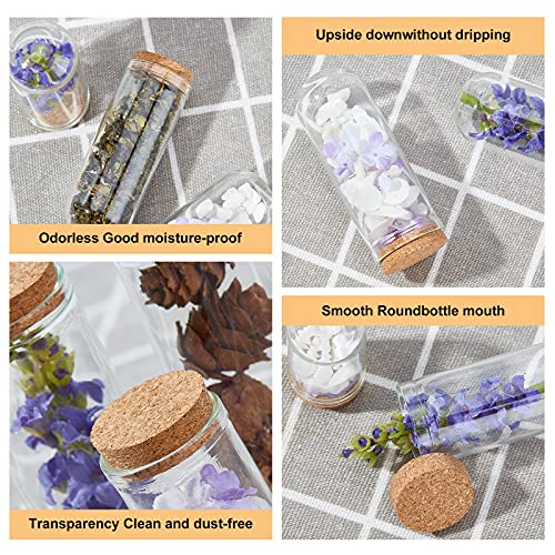 Image of BENECREAT 24 Pack Glass Jars Bottles 3 Mixed Size Dome Cloche Cover Decoration Bottles with Cork Stoppers for Party Favors, Arts and Small Projects