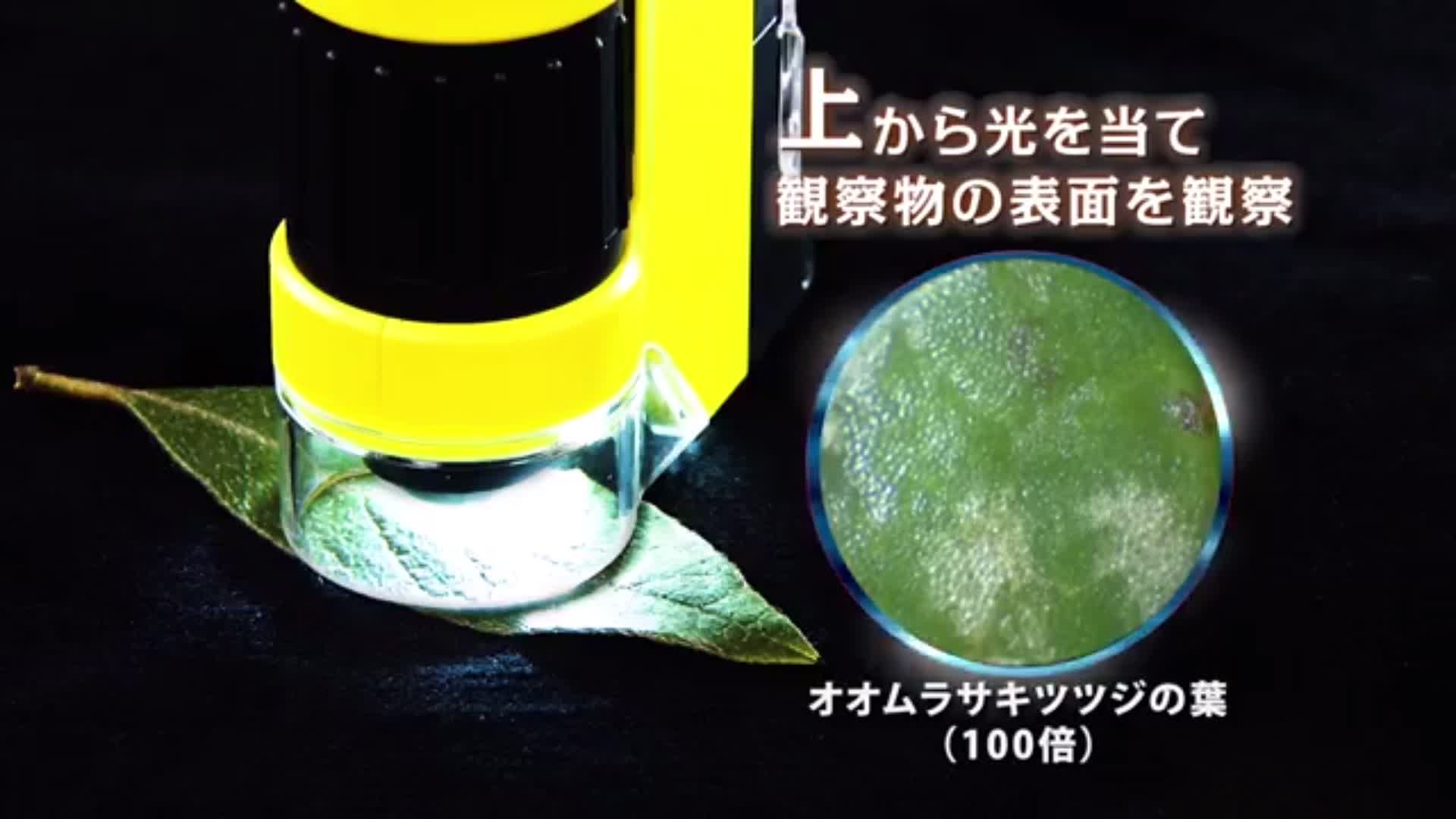 Amazon.co.jp: レイメイ藤井 顕微鏡 ハンディ顕微鏡DX イエロー